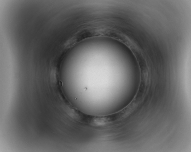 X0000115430757200911121103