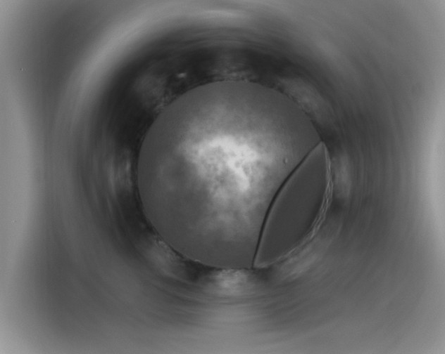 X0000115430762200911121103