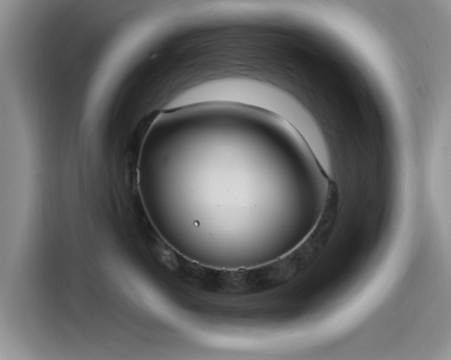 X0000115430766200911121103