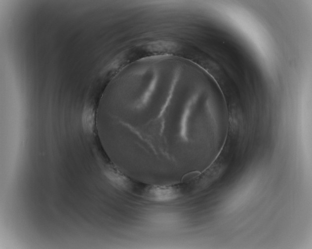 X0000115430767200911121103
