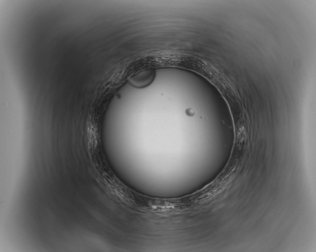 X0000115430772200911121102