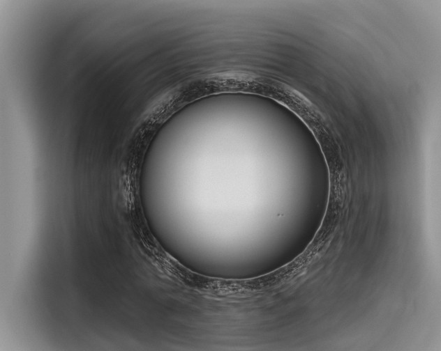 X0000115430774200911121102