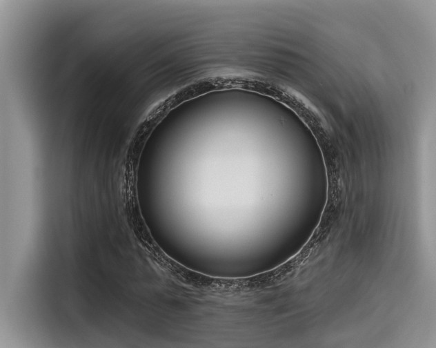 X0000115430775200911121102