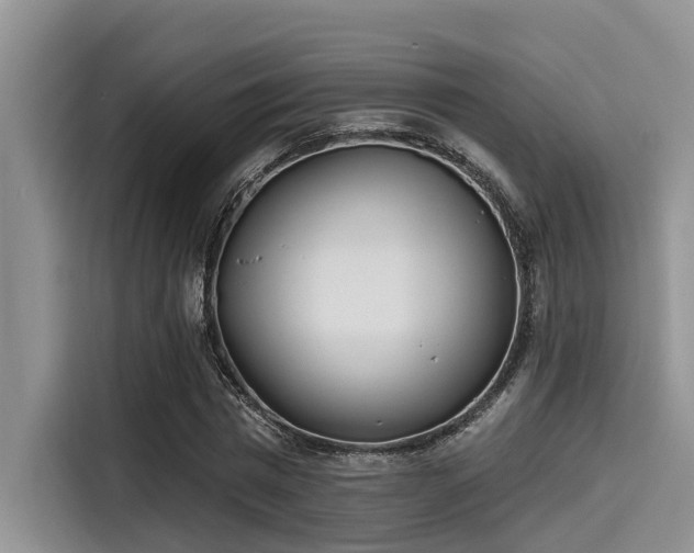 X0000115430777200911121102
