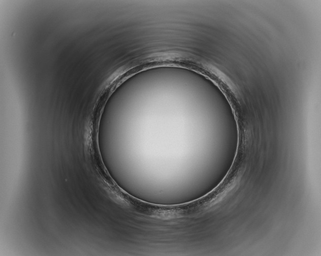 X0000115430778200911121102