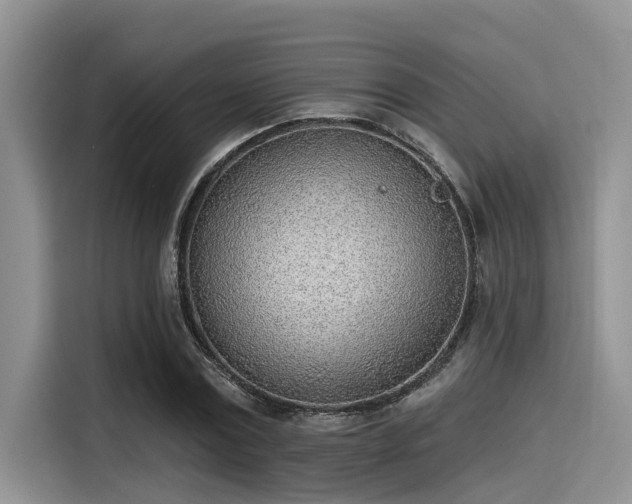 X0000115430779200911121102