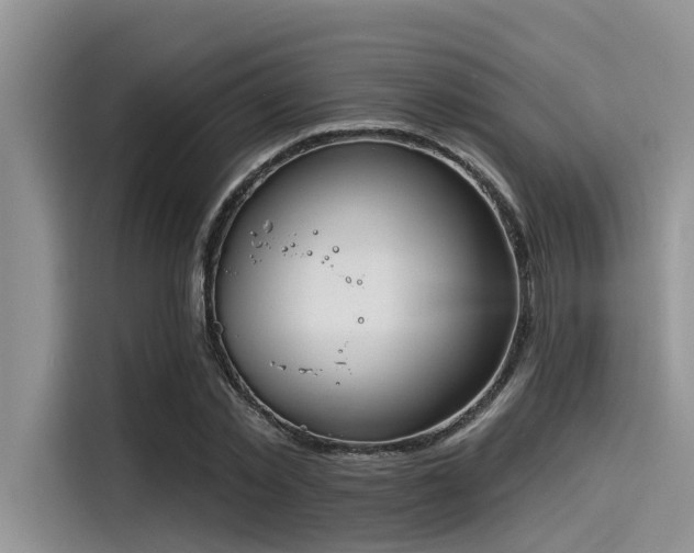 X0000115430781200911121102