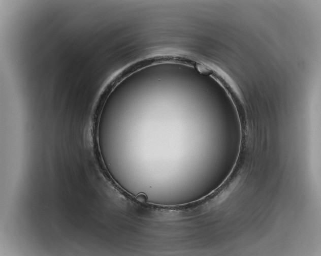 X0000115430783200911121102