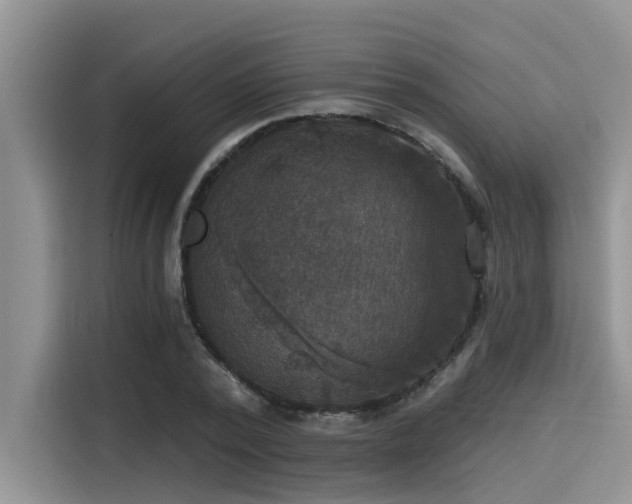 X0000115430784200911121102