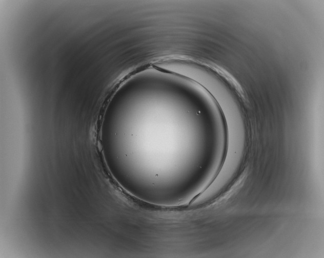 X0000115430785200911121102