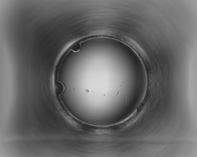 X0000115430788200911121102