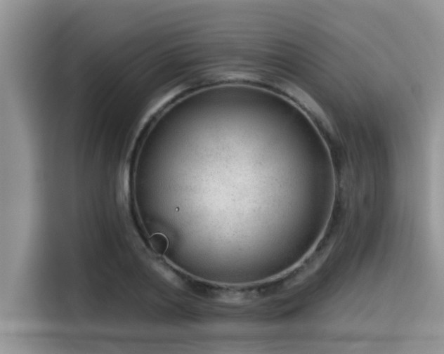 X0000115430790200911121102