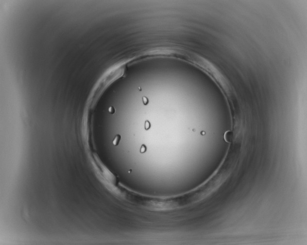X0000115430795200911121102