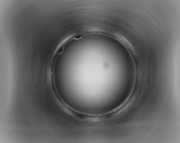 X0000115430798200911121102