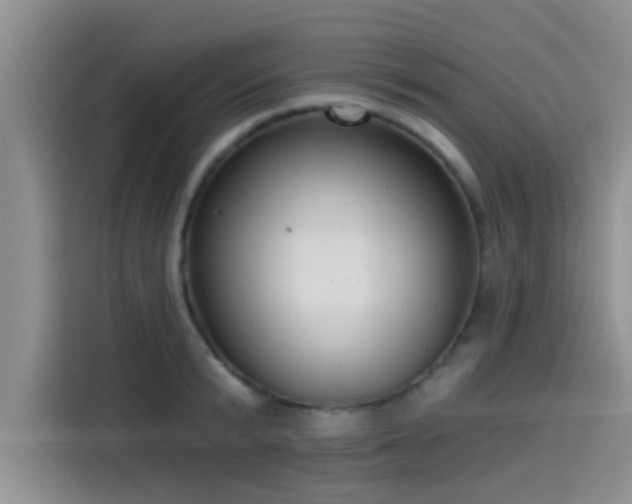 X0000115430799200911121102