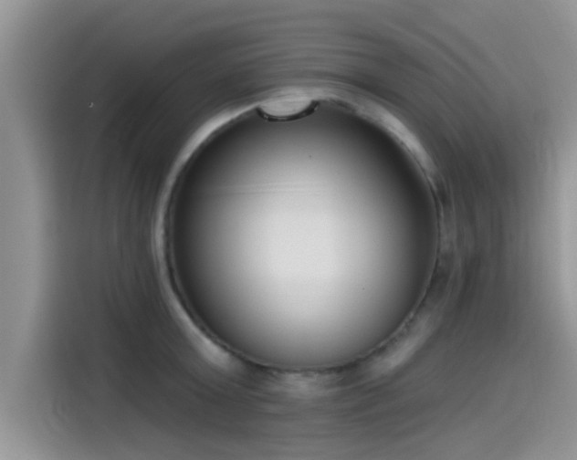 X0000115430803200911121102
