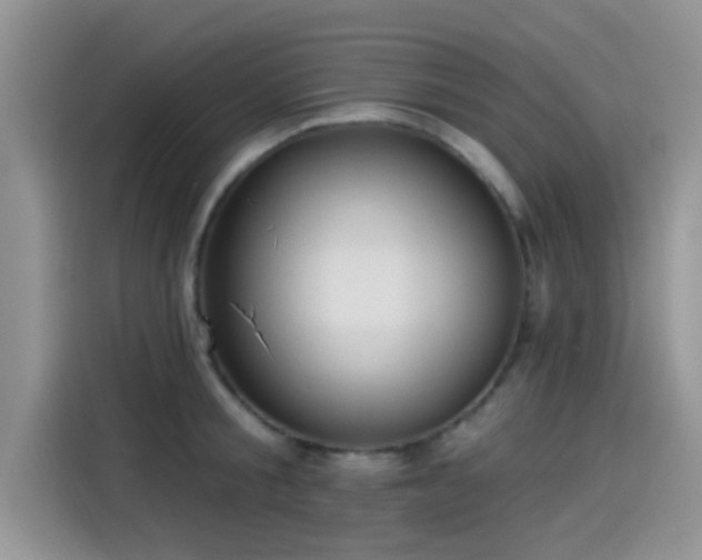 X0000115430805200911121102