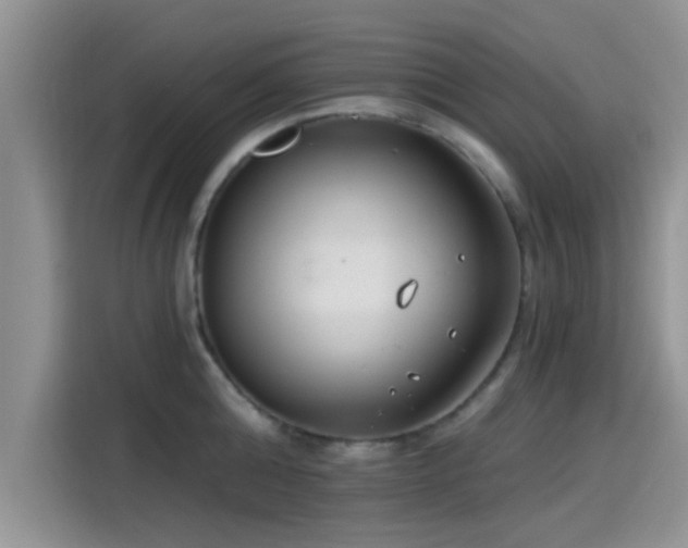 X0000115430808200911121102