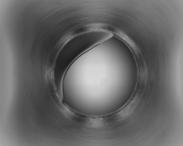 X0000115430809200911121102