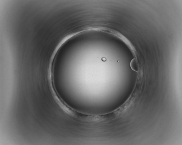 X0000115430811200911121102
