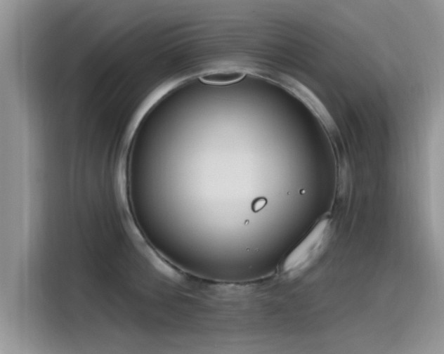 X0000115430812200911121102