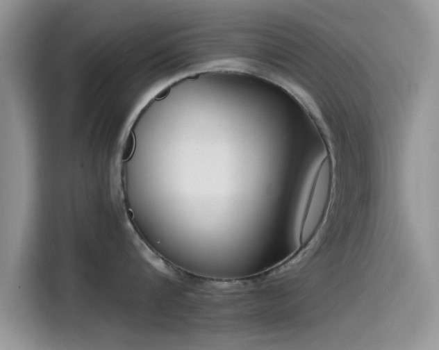 X0000115430816200911121102