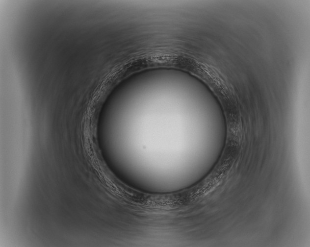 X0000115430817200911121101