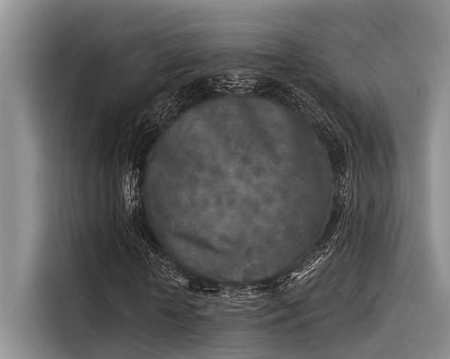 X0000115430818200911121101