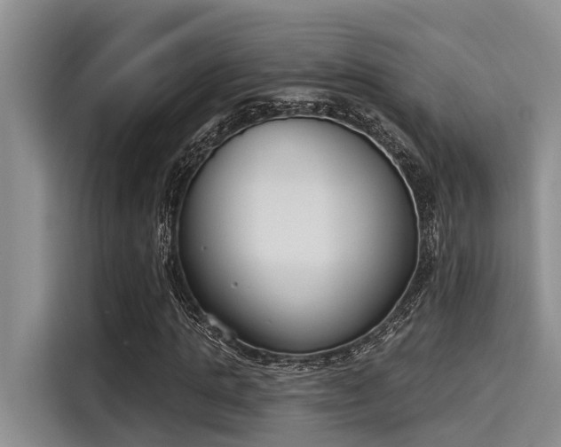 X0000115430821200911121101