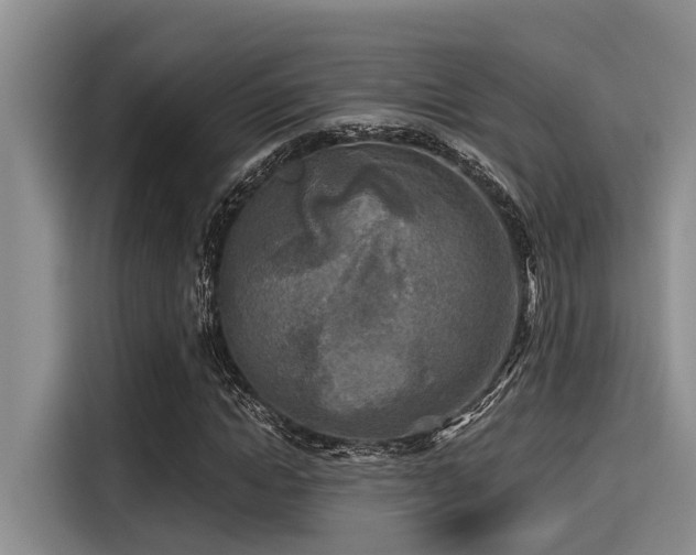 X0000115430822200911121101