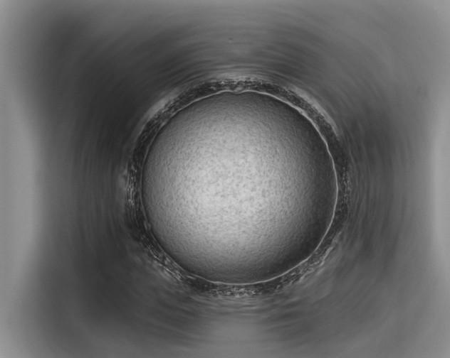 X0000115430823200911121101