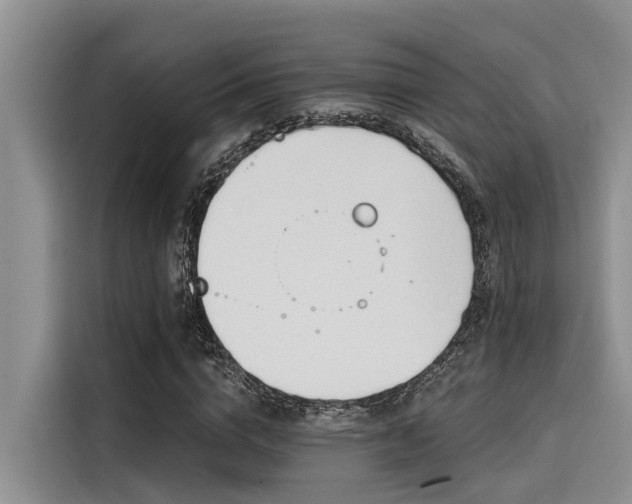 X0000115430824200911121101
