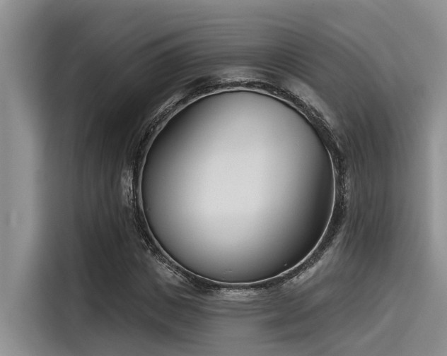 X0000115430825200911121101