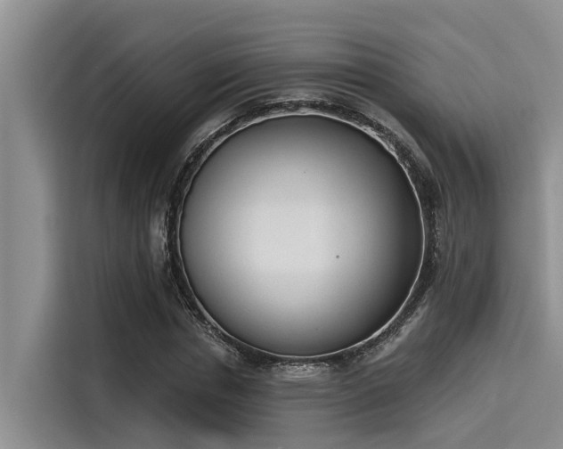 X0000115430826200911121101