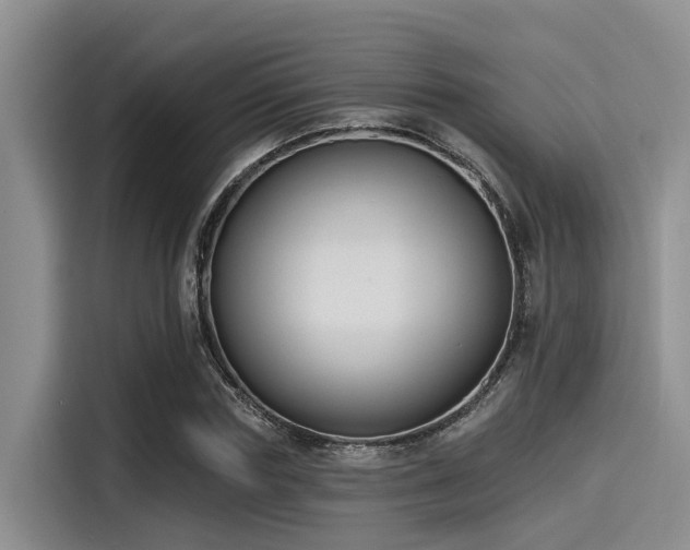 X0000115430827200911121101