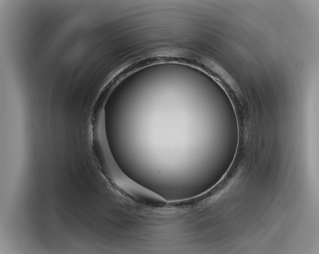 X0000115430829200911121101