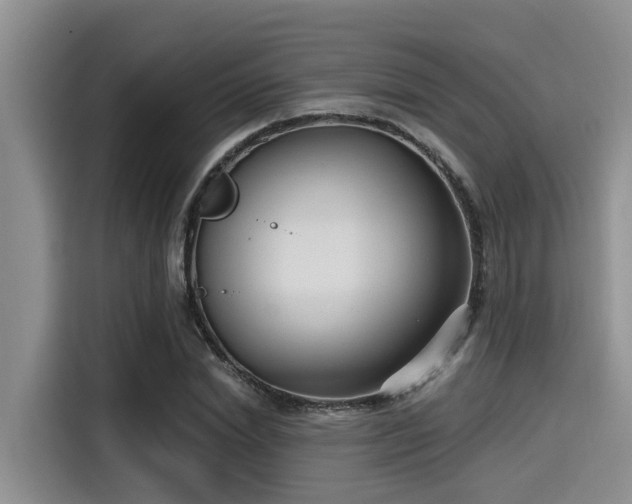 X0000115430830200911121101