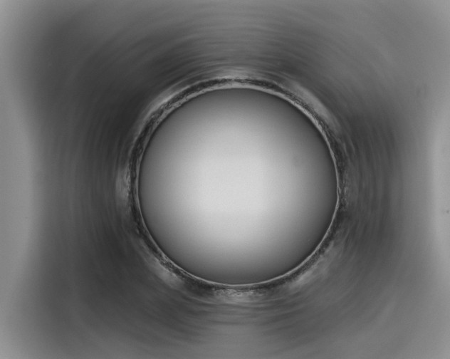 X0000115430831200911121101