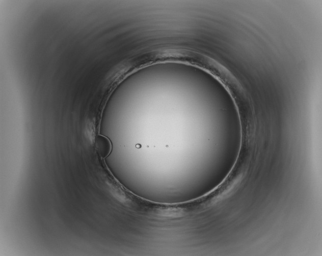 X0000115430833200911121101