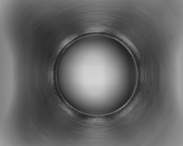 X0000115430834200911121101