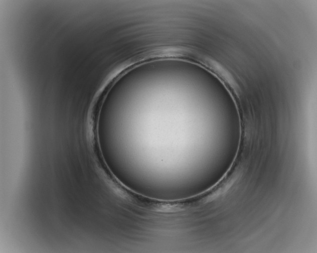 X0000115430835200911121101