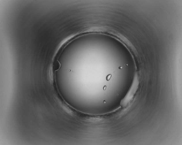 X0000115430838200911121101