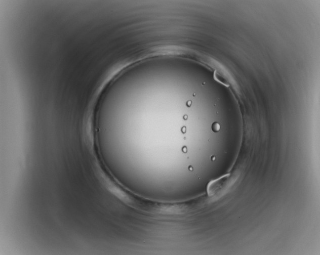 X0000115430843200911121101