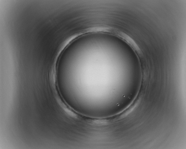 X0000115430844200911121101