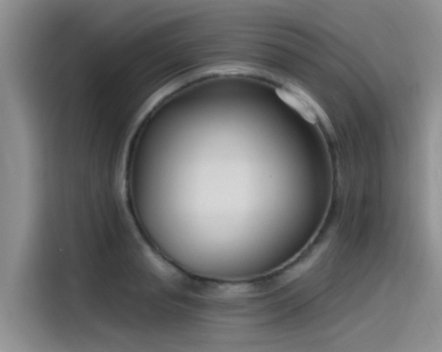 X0000115430845200911121101