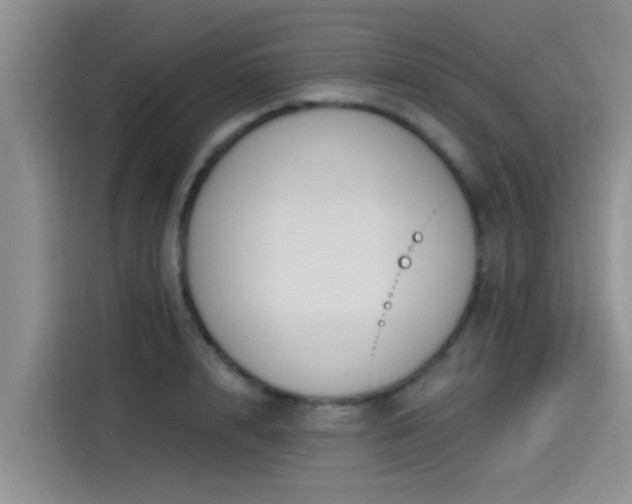 X0000115430848200911121101
