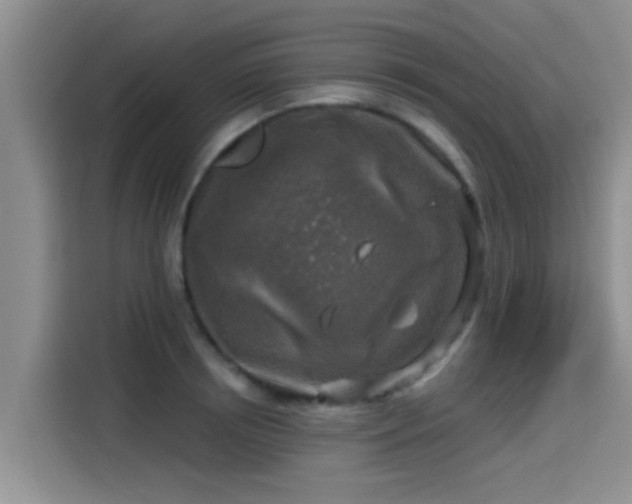 X0000115430850200911121102