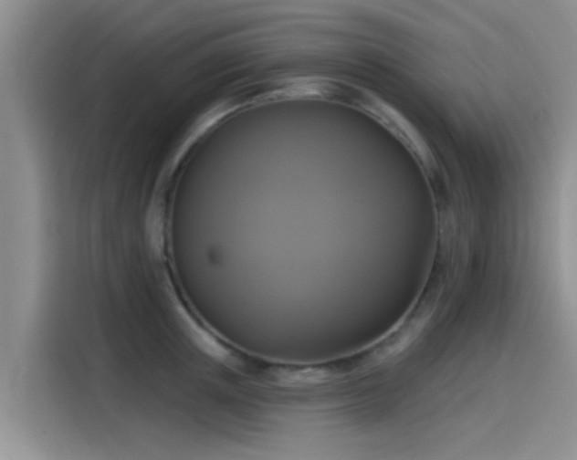 X0000115430851200911121102