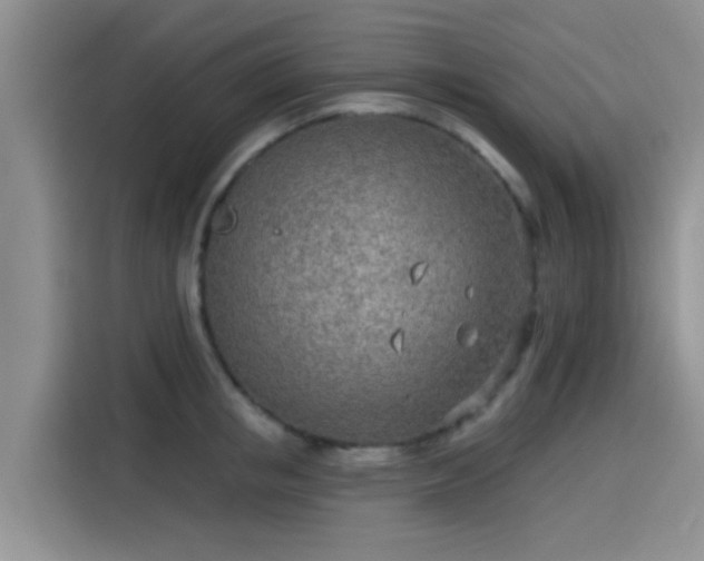 X0000115430853200911121102