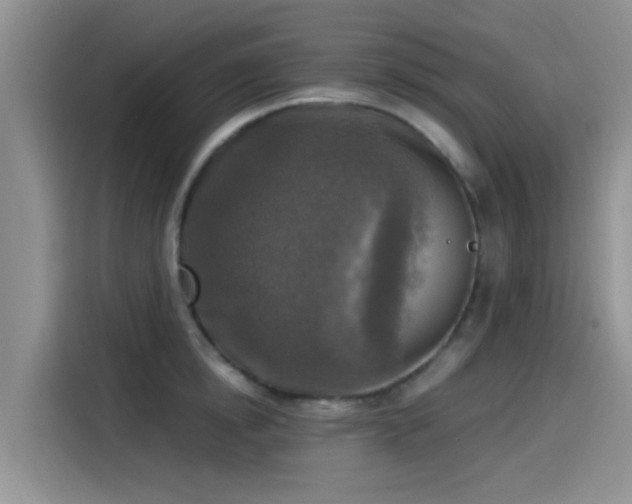 X0000115430854200911121102